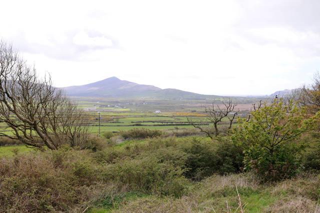 Griffins Holiday Cottage Dingle Exterior foto